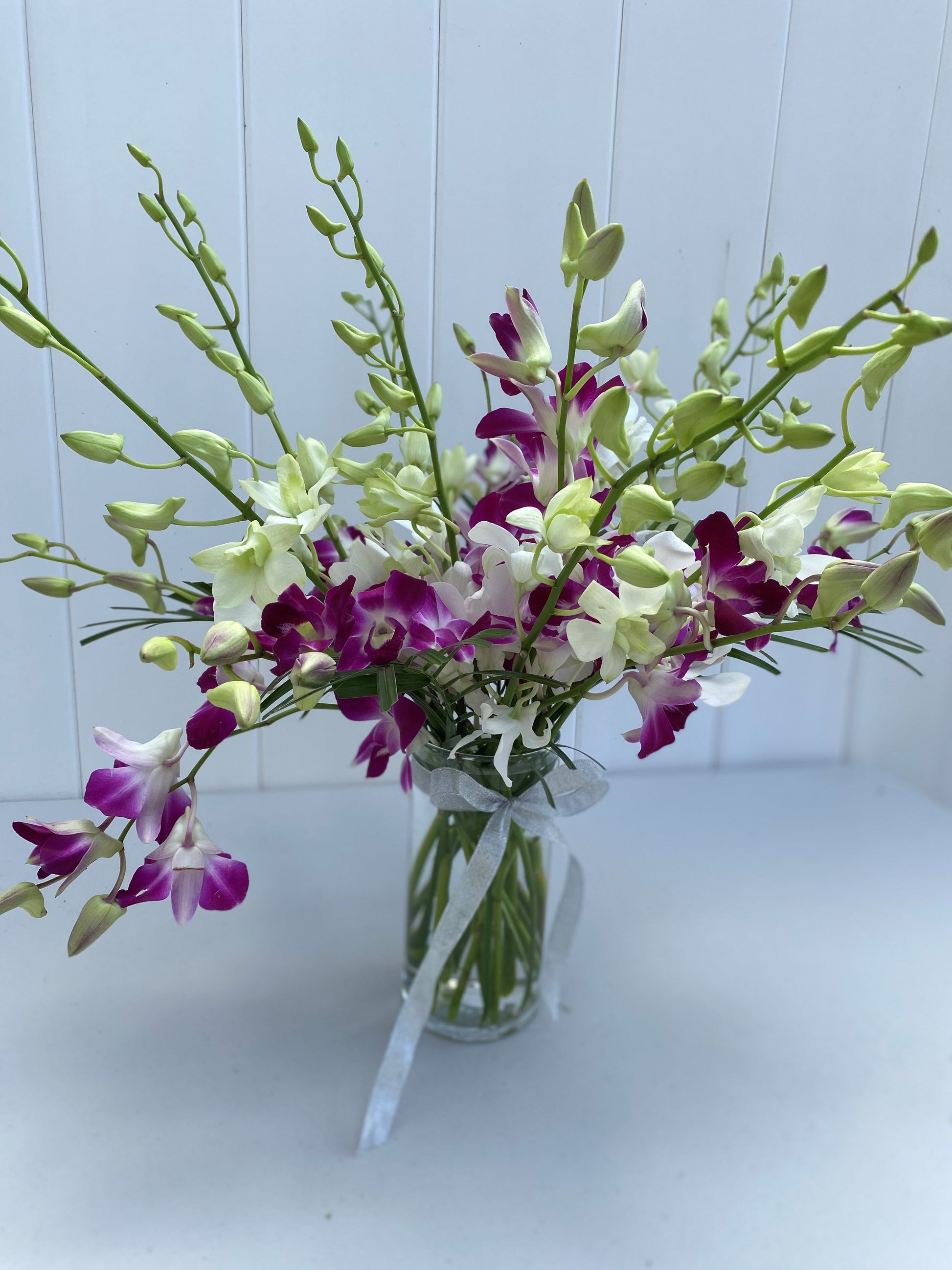 Orchids Gorgeous - lifeflowershoporlando