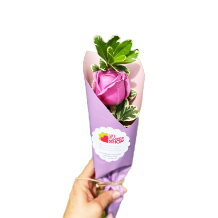 Wrap Rose - lifeflowershoporlando